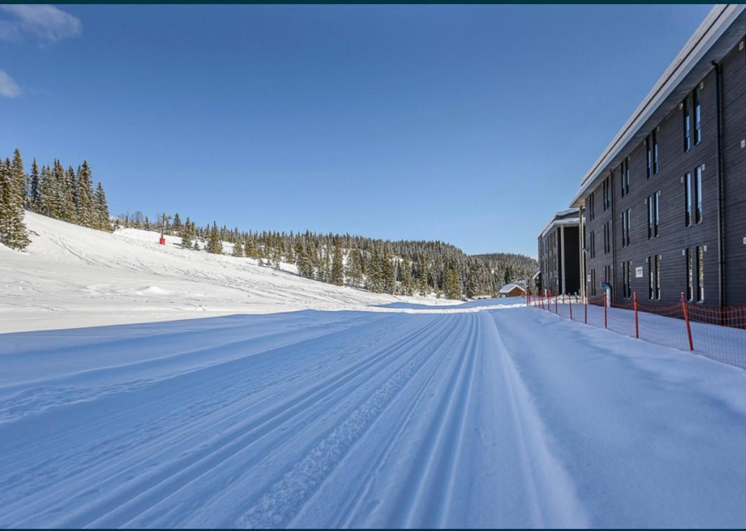 Fin Leilighet Ca 30 Min Med Bil Til Hunderfossen Favang Exterior photo